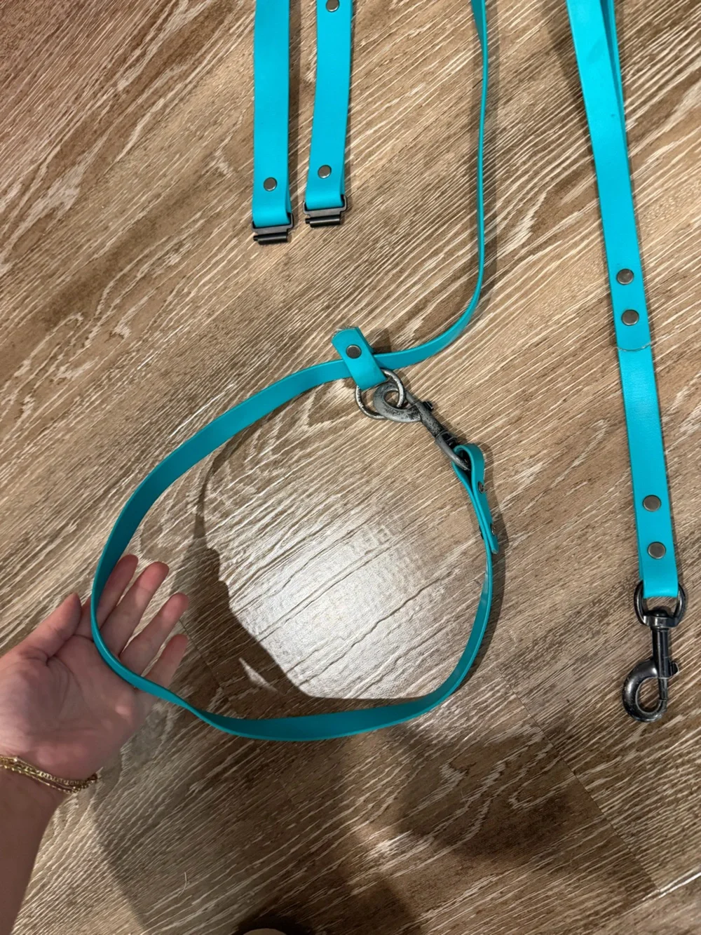 Biothane Leash & collars
